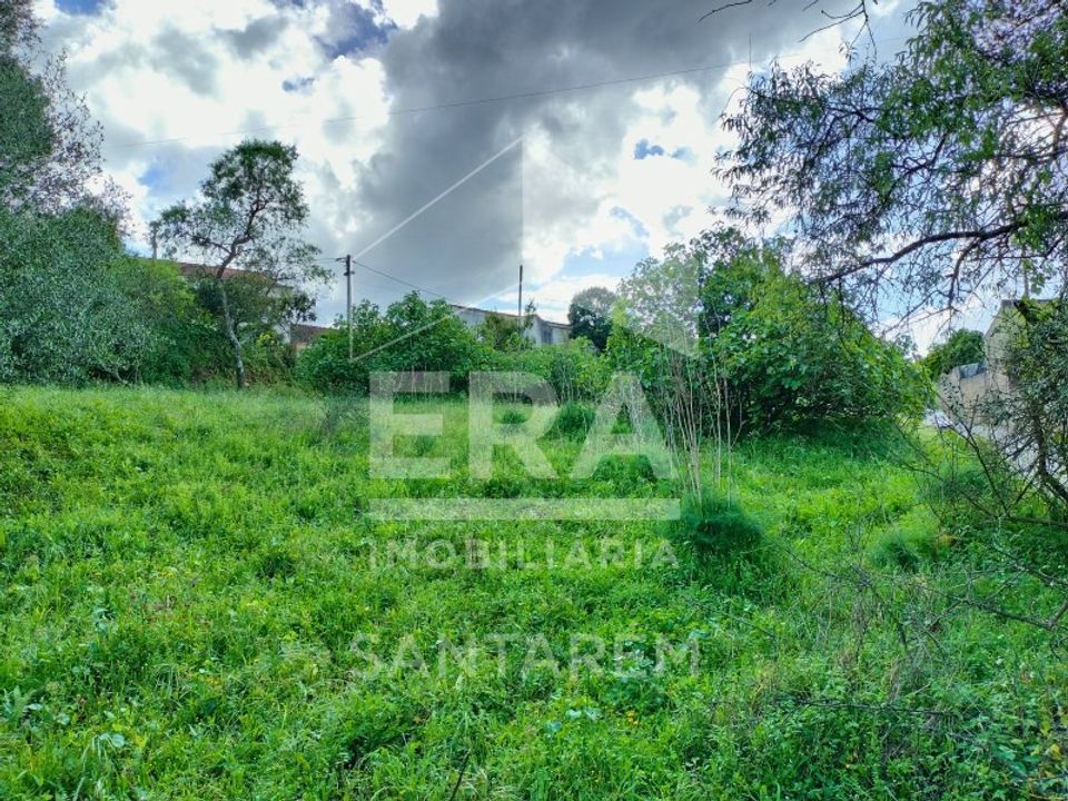 Helårsgrund i Torres Novas, Santarem - foto 3