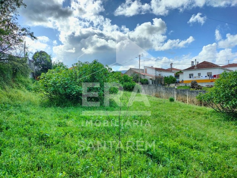 Helårsgrund i Torres Novas, Santarem - foto 5
