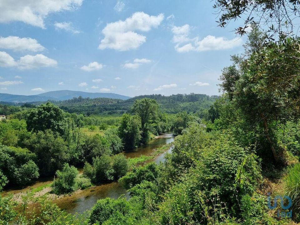 Helårsgrund i Arganil, Coimbra - foto 3