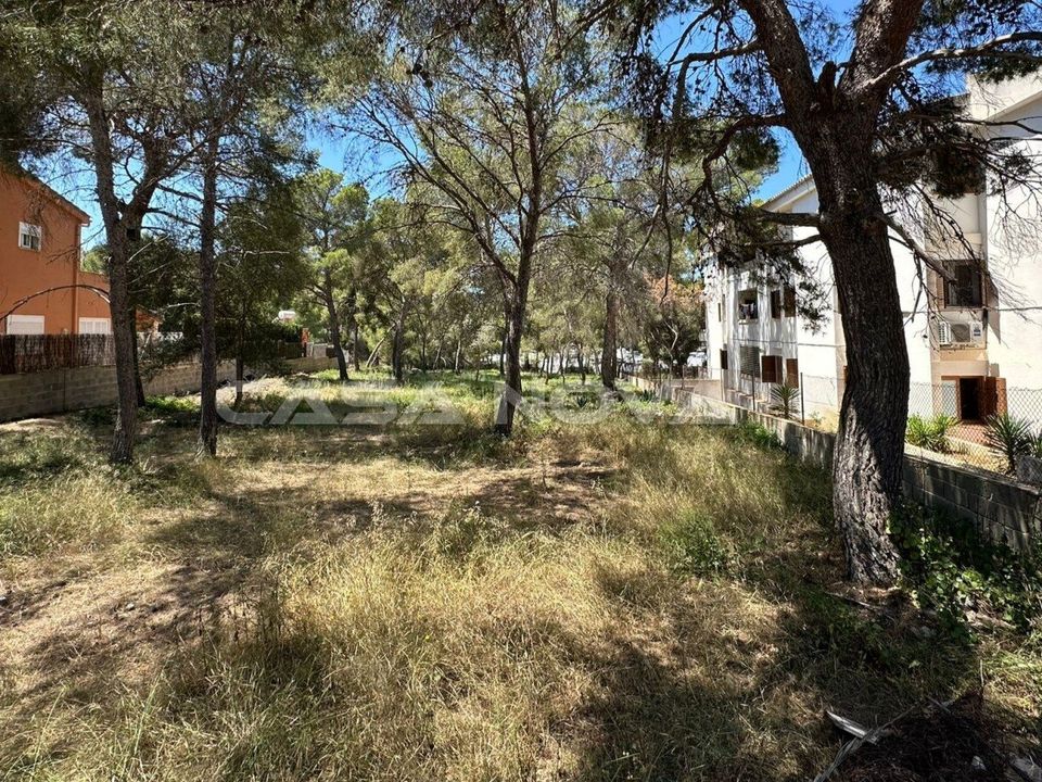Tomt i Santa Ponsa, Mallorca - bilde 1
