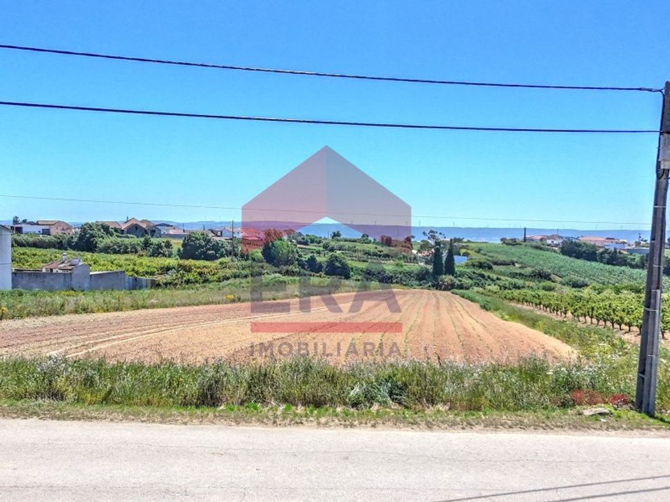 Helårsgrund i Obidos, Leiria - foto 4