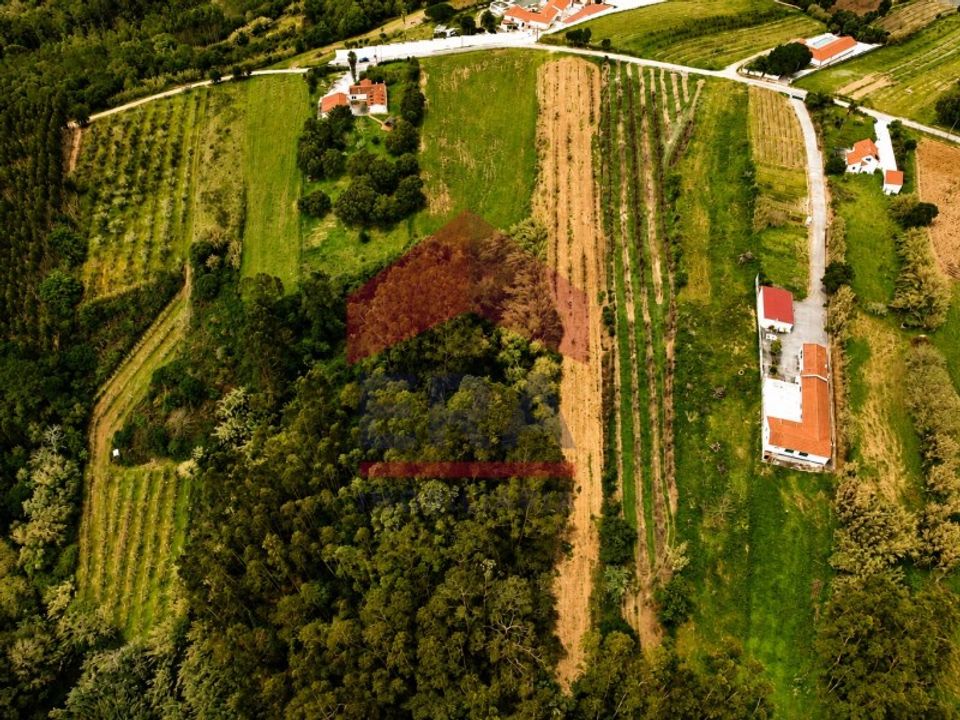 Helårsgrund i Obidos, Leiria - foto 4