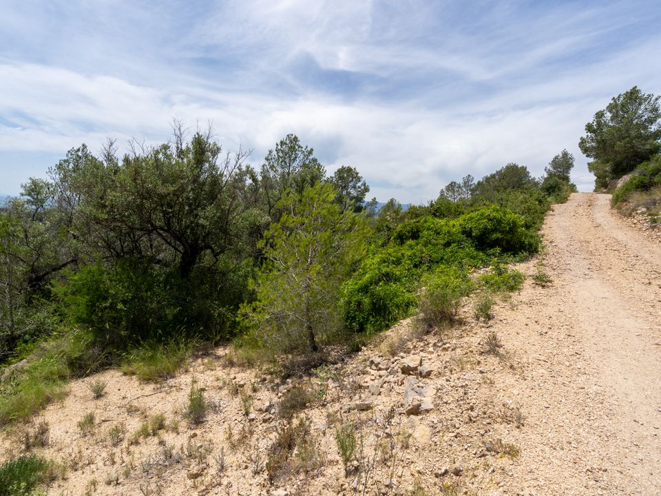 Finca i Tortosa, Tarragona - foto 5
