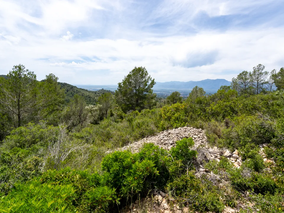 Finca i Tortosa, Tarragona - foto 1
