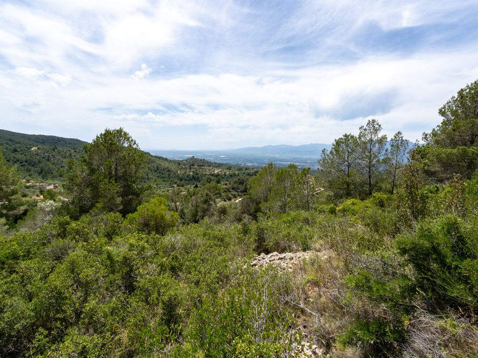 Finca i Tortosa, Tarragona - foto 2