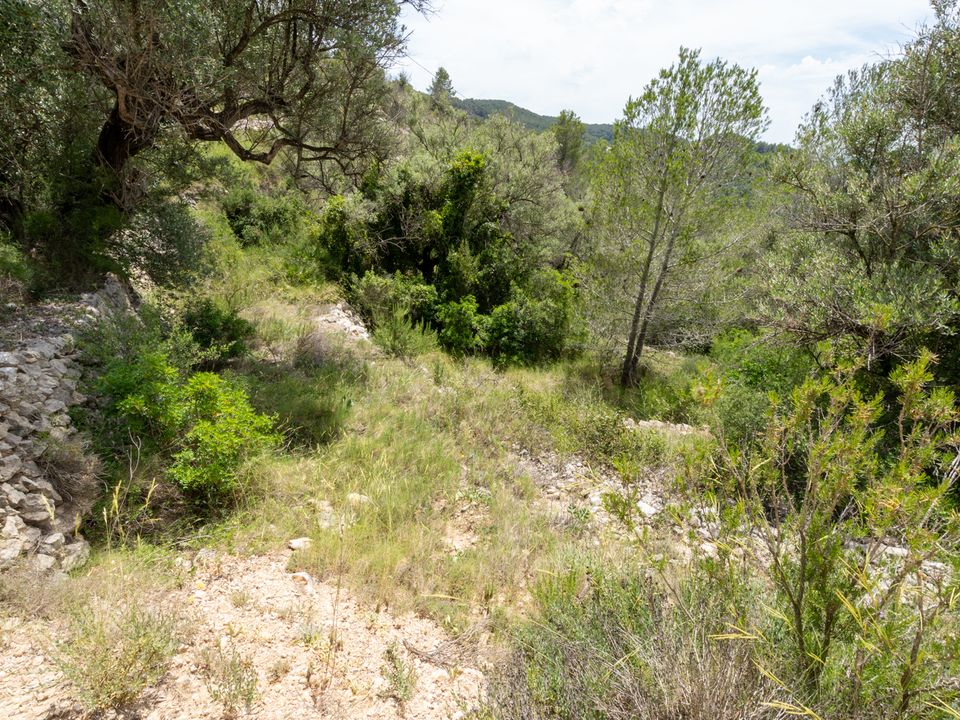 Finca i Tortosa, Tarragona - foto 4