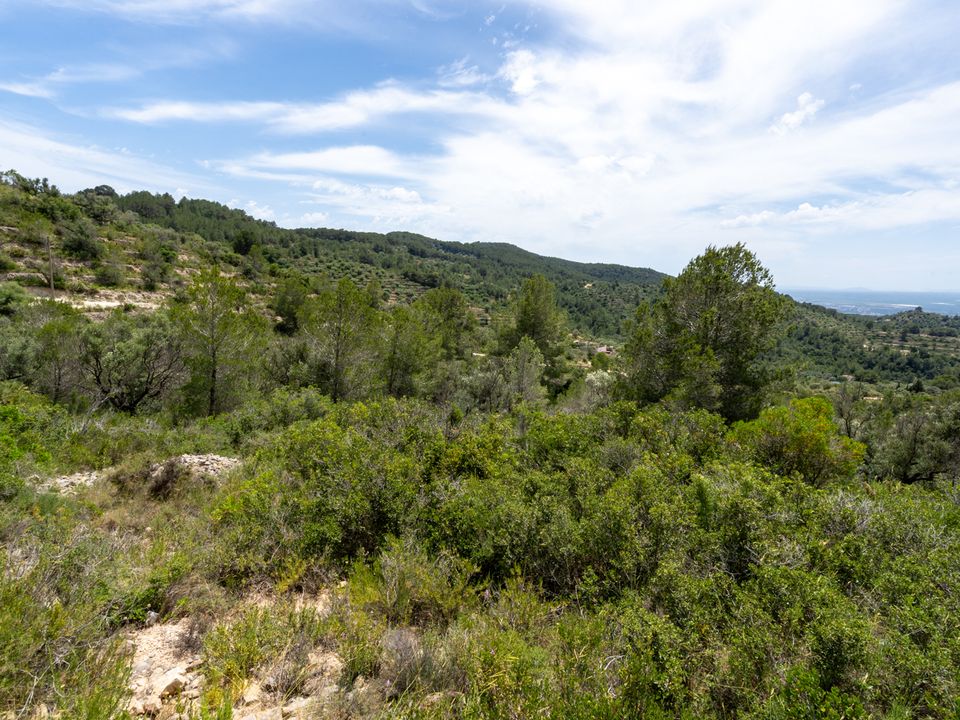 Finca i Tortosa, Tarragona - foto 3