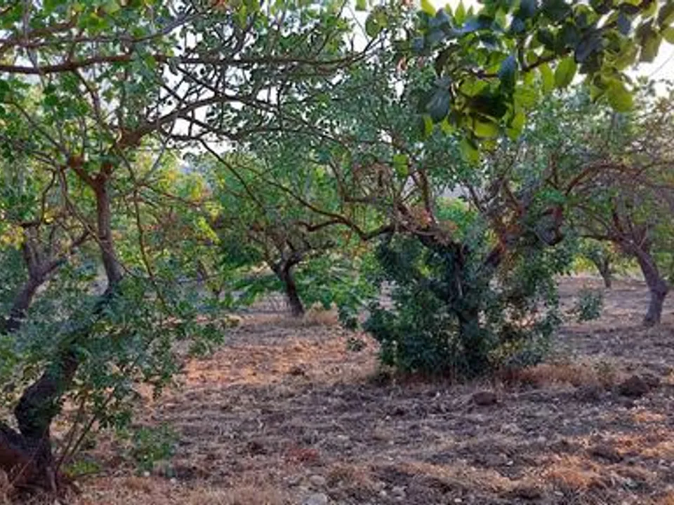 Helårsgrund i Cianciana, Agrigento - foto 1