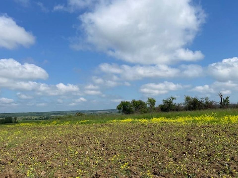 Helårsgrund i Haraucourt, Meurthe-et-Moselle - foto 1