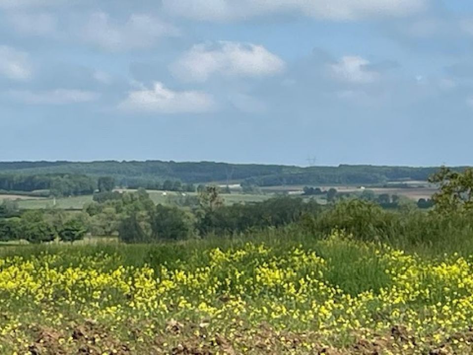 Helårsgrund i Haraucourt, Meurthe-et-Moselle - foto 1