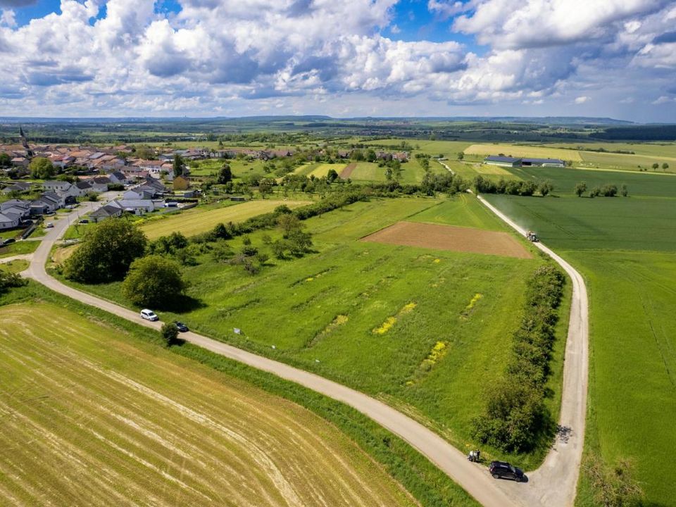 Helårsgrund i Haraucourt, Meurthe-et-Moselle - foto 1