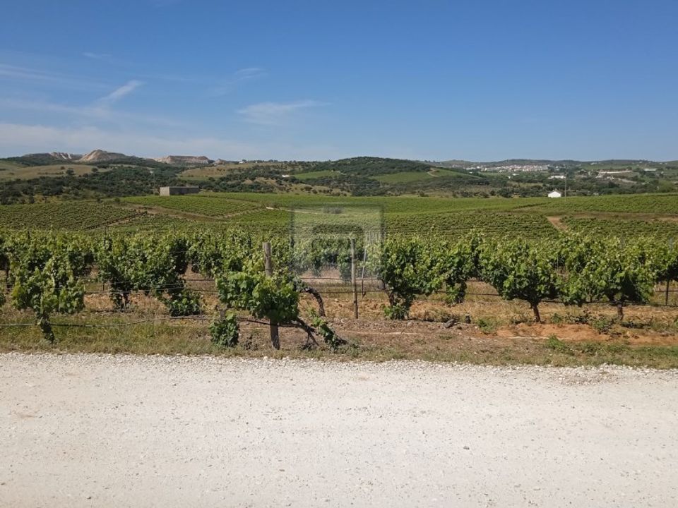 Farm i Borba, Evora - foto 2