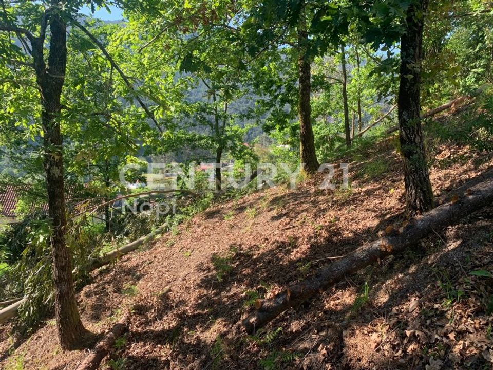 Helårsgrund i Braga, Braga - foto 2