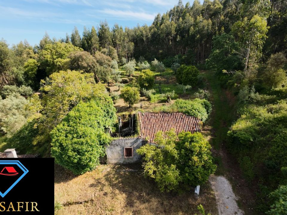 Villa i Ferreira do Zezere, Santarem - foto 1
