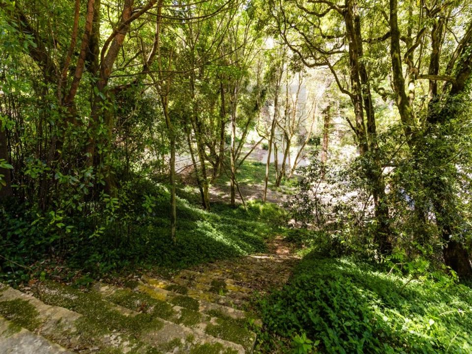 Farm i Sintra, Lisbon - foto 4