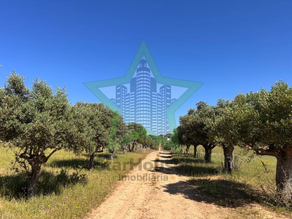 Helårsgrund i Torres Novas, Santarem - foto 2