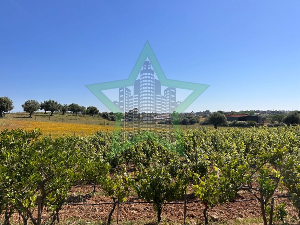 Helårsgrund i Torres Novas, Santarem - foto 4