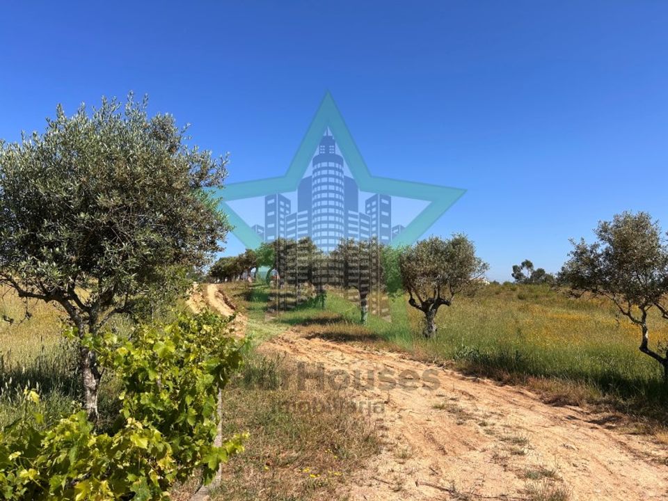 Helårsgrund i Torres Novas, Santarem - foto 5