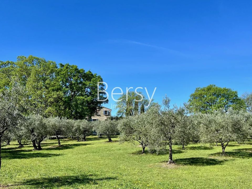 Herregård i Pernes-les-Fontaines, Vaucluse - bilde 4