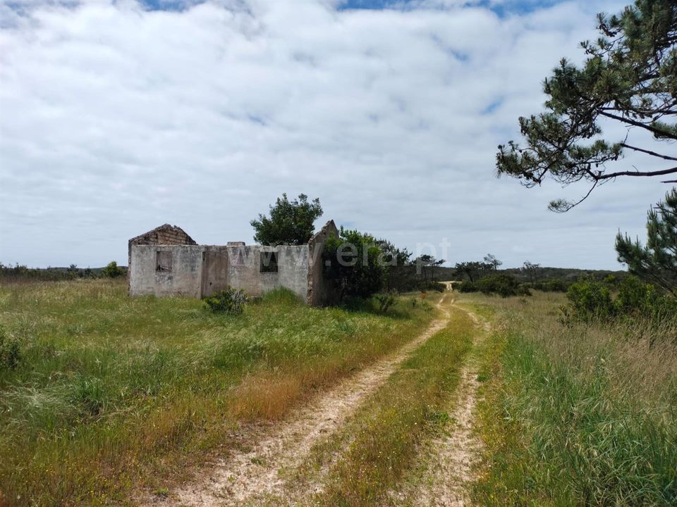 Helårsgrund i Murtosa, Aveiro - foto 3