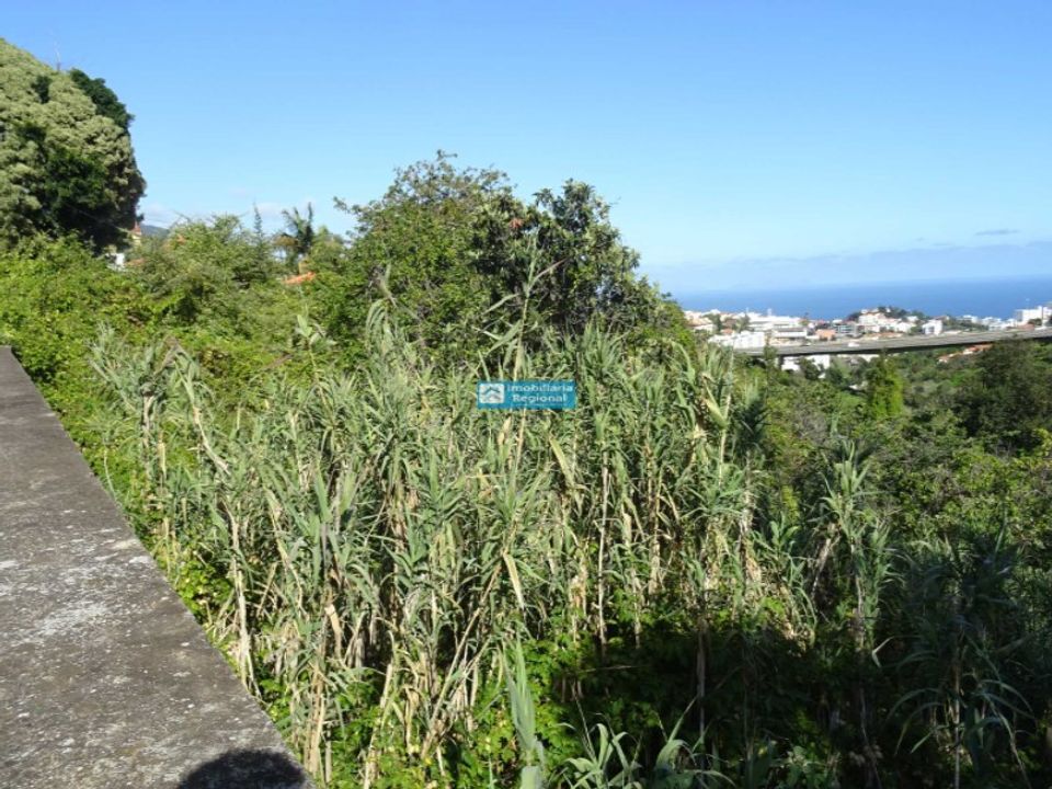Helårsgrund i Funchal, Madeira - foto 3