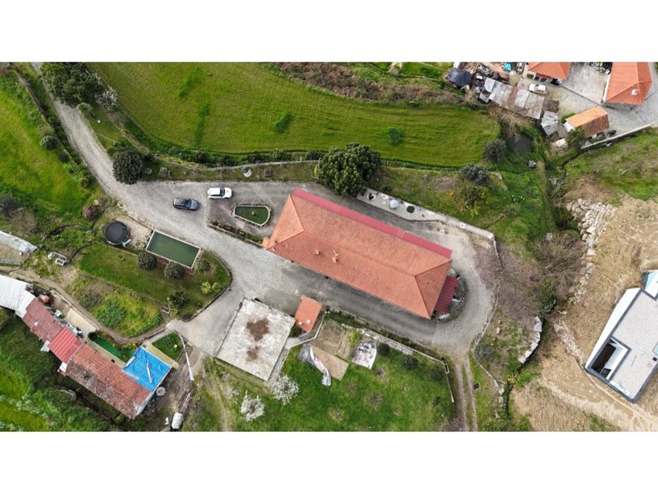 Farm i Penacova, Coimbra - foto 3
