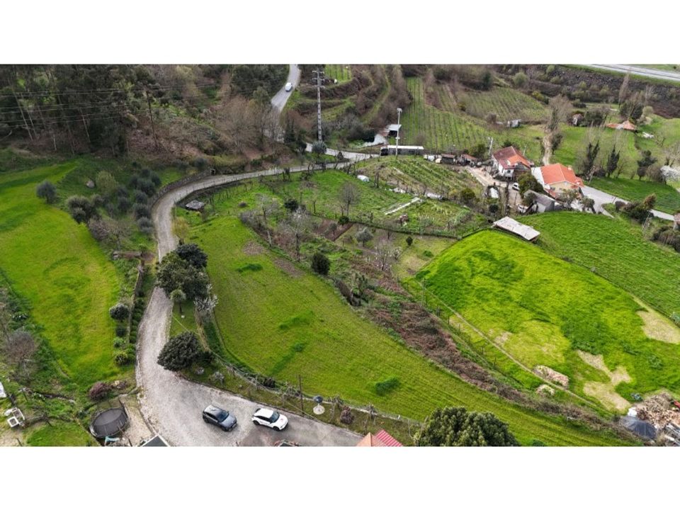 Farm i Penacova, Coimbra - foto 4