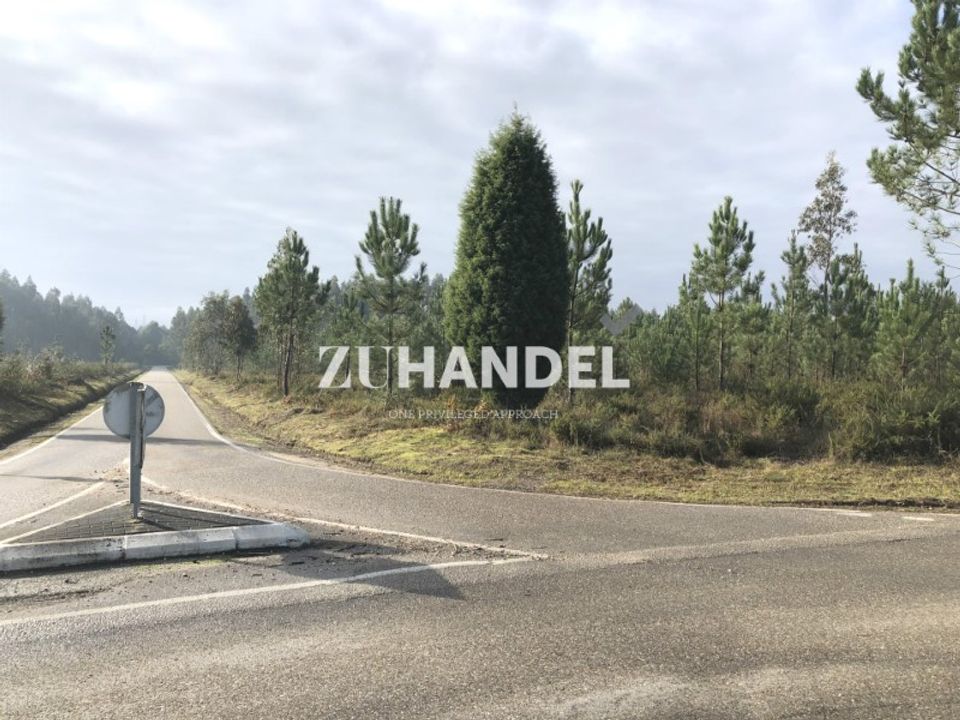 Helårsgrund i Anadia, Aveiro - foto 1