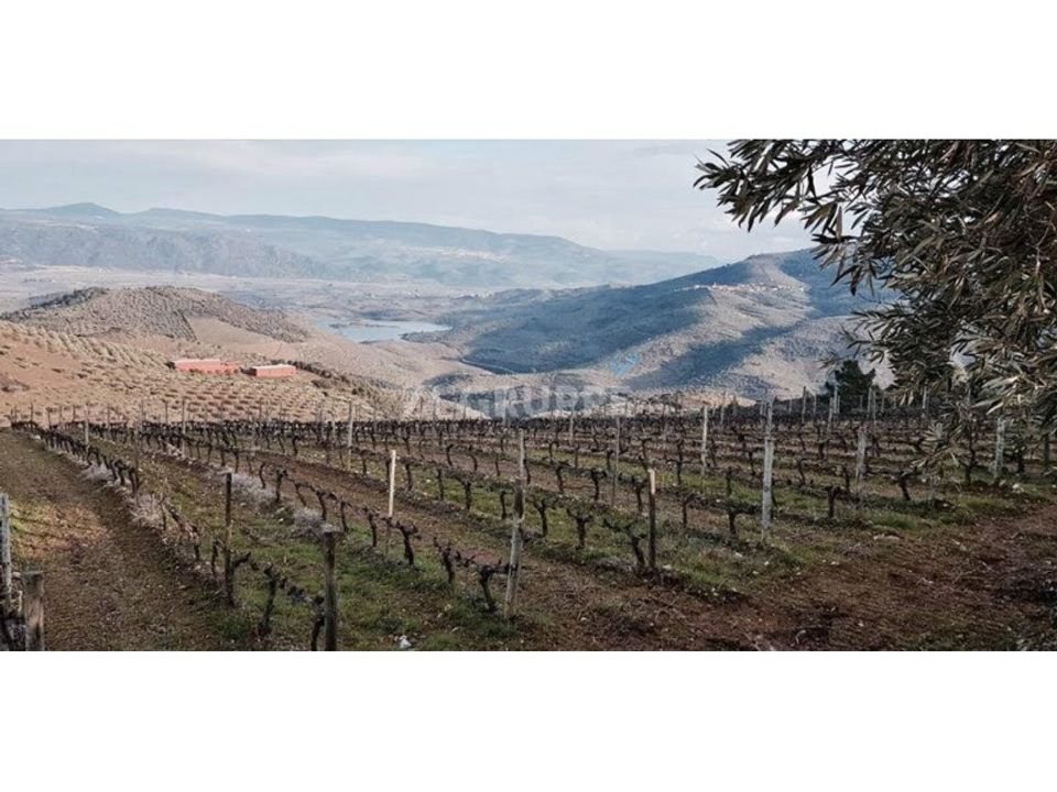 Farm i Vila Flor, Braganca - foto 1