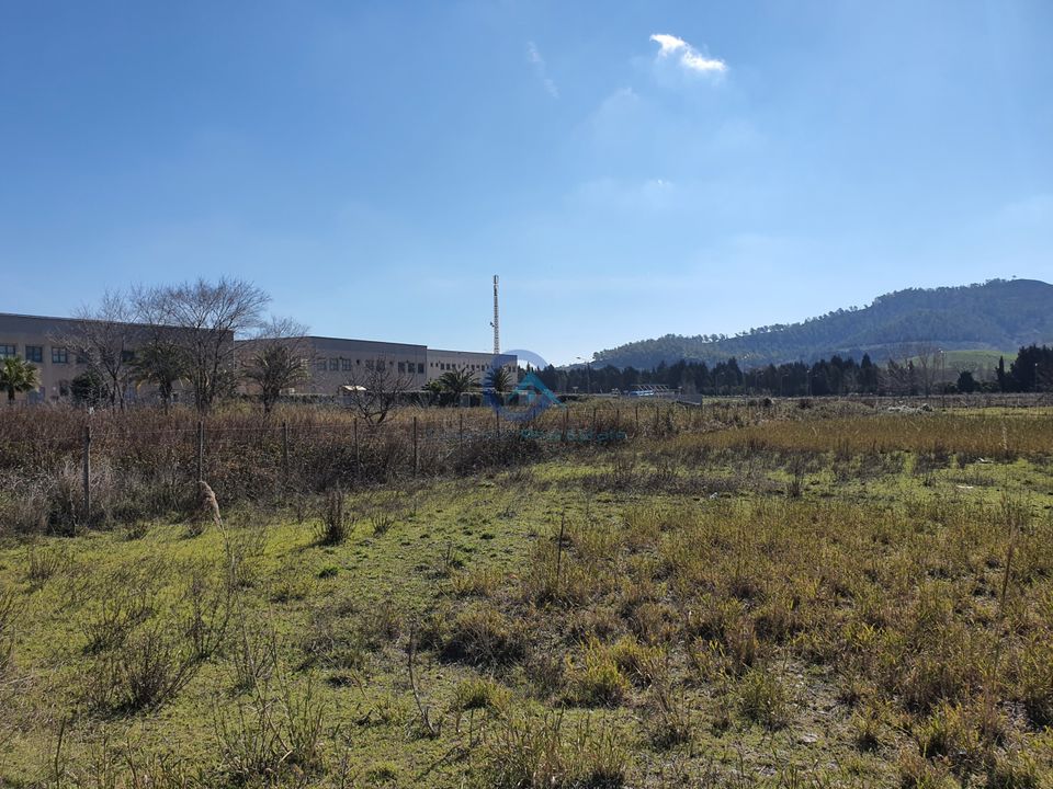 Erhvervsejendom i Caraffa di Catanzaro, Catanzaro - foto 3
