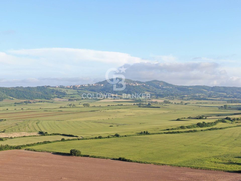 Helårsgrund i Latera, Viterbo - foto 2