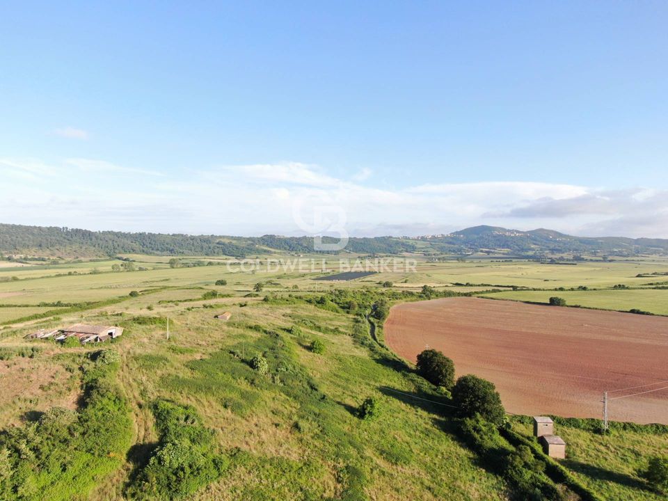 Helårsgrund i Latera, Viterbo - foto 3