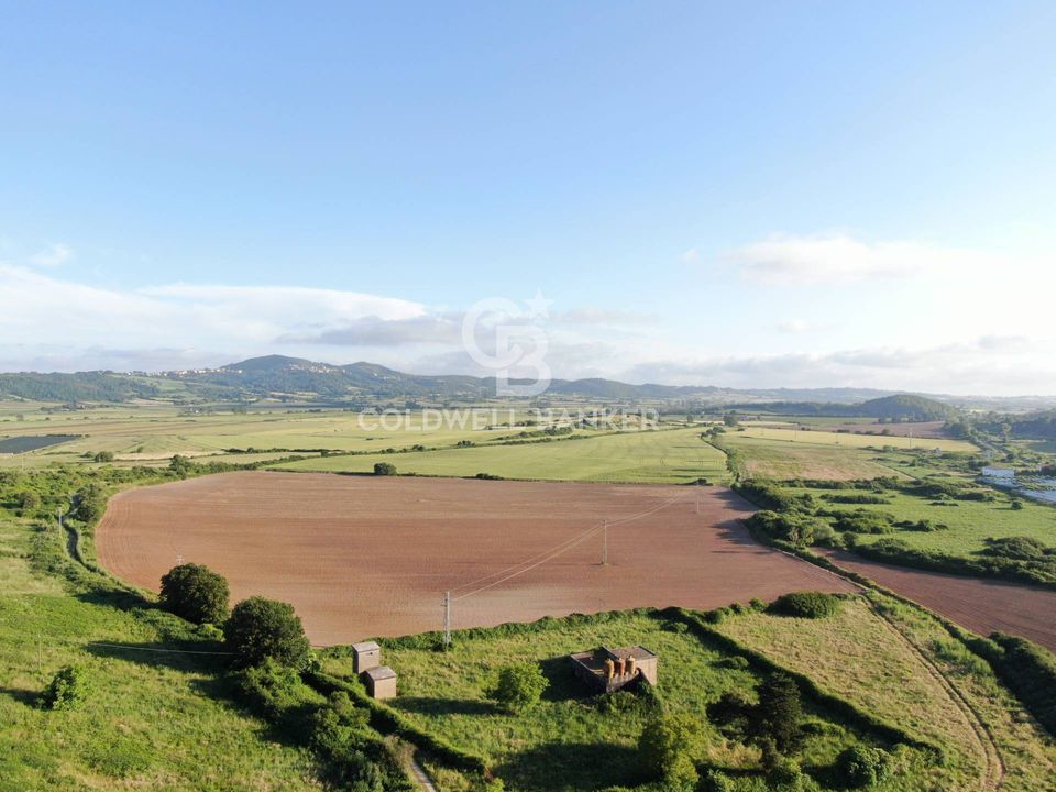 Helårsgrund i Latera, Viterbo - foto 4