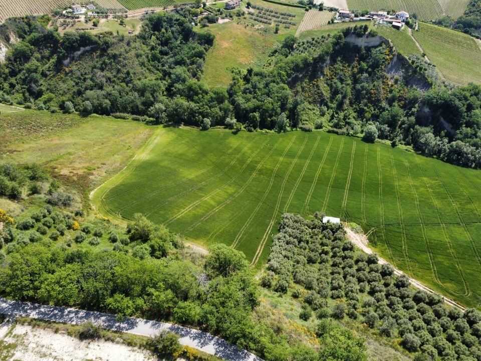 Helårsgrund i Ripatransone, Ascoli Piceno - foto 2