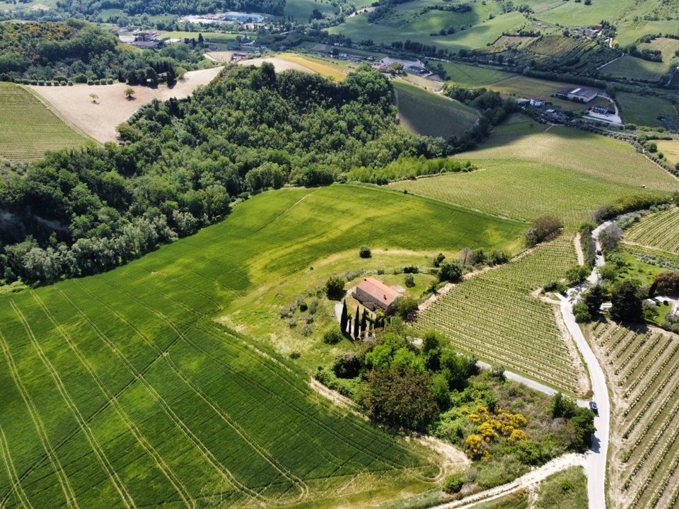 Helårsgrund i Ripatransone, Ascoli Piceno - foto 3