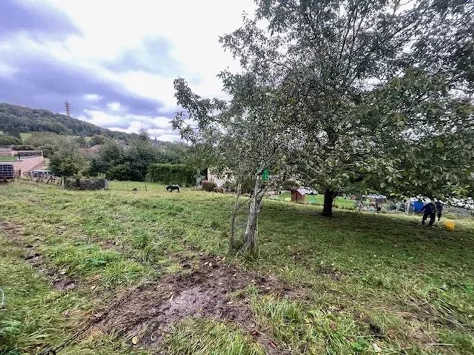 Terra a Mont-lès-Neufchâteau, Vosges - foto 2