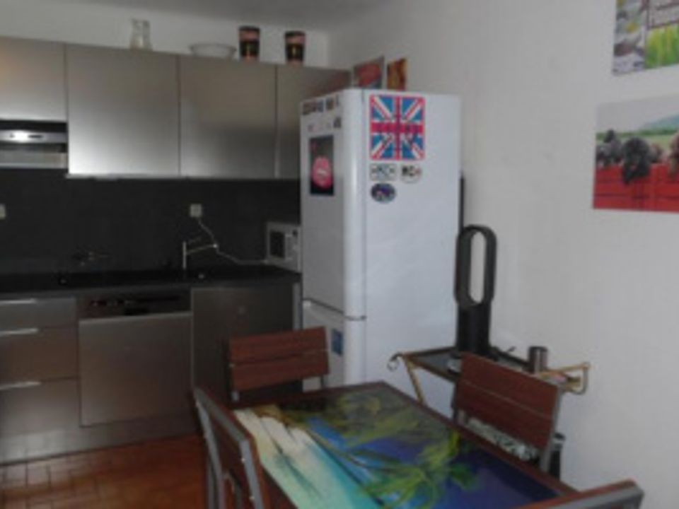 Studio i Amelie-les-Bains-Palalda, Pyrenees-Orientales - foto 3