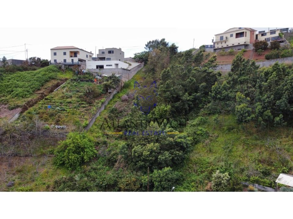 Helårsgrund i Camara de Lobos, Madeira - foto 2