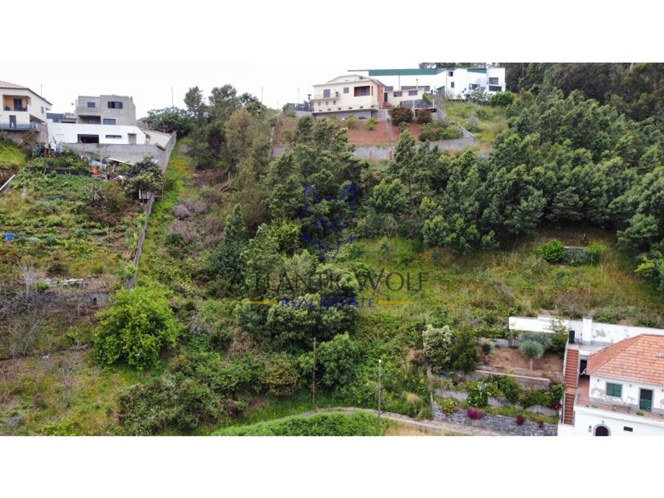 Helårsgrund i Camara de Lobos, Madeira - foto 5