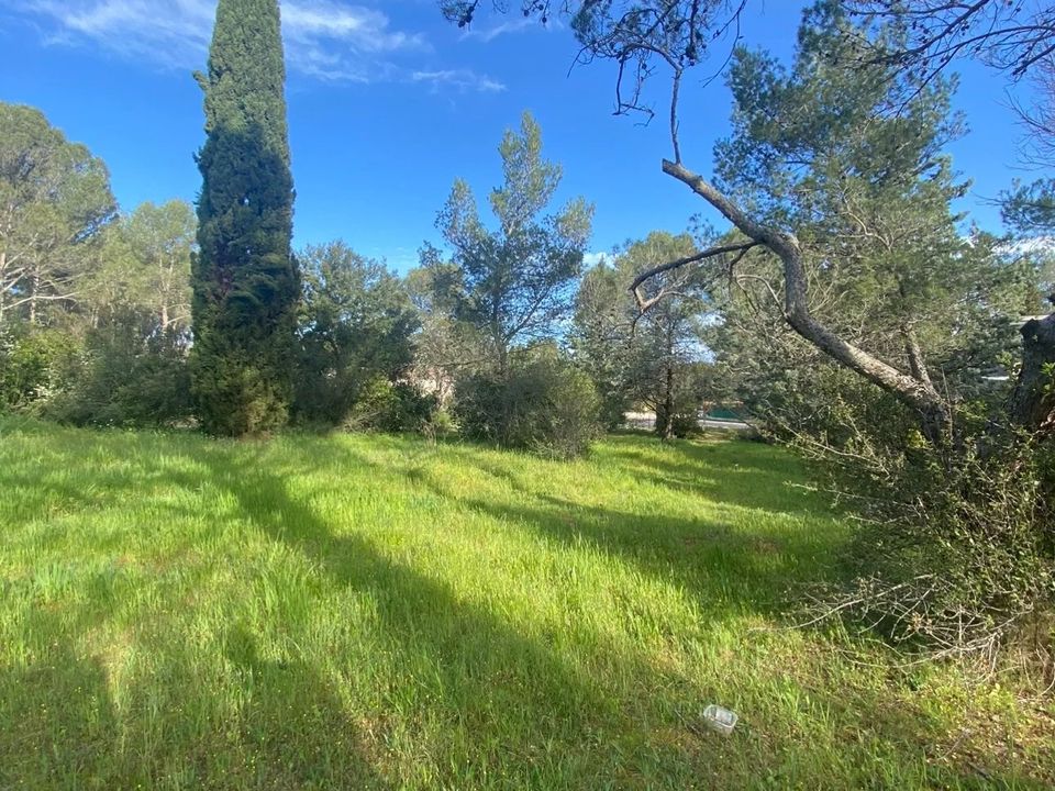 Tomt i Montferrier-sur-Lez, Herault - bilde 3