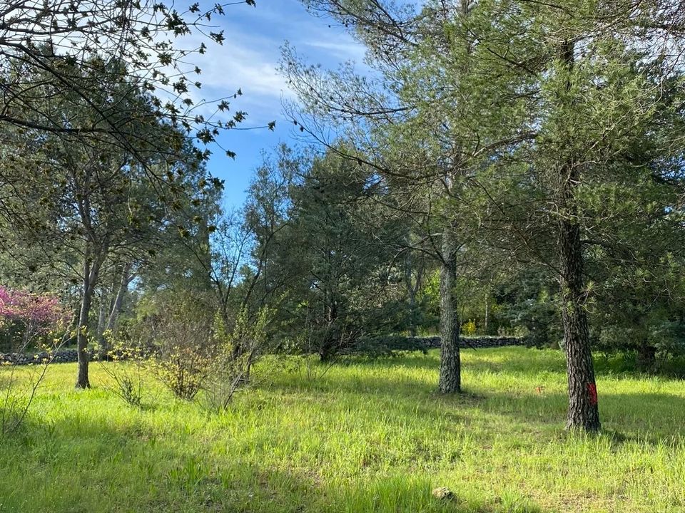 Tomt i Montferrier-sur-Lez, Herault - bilde 4