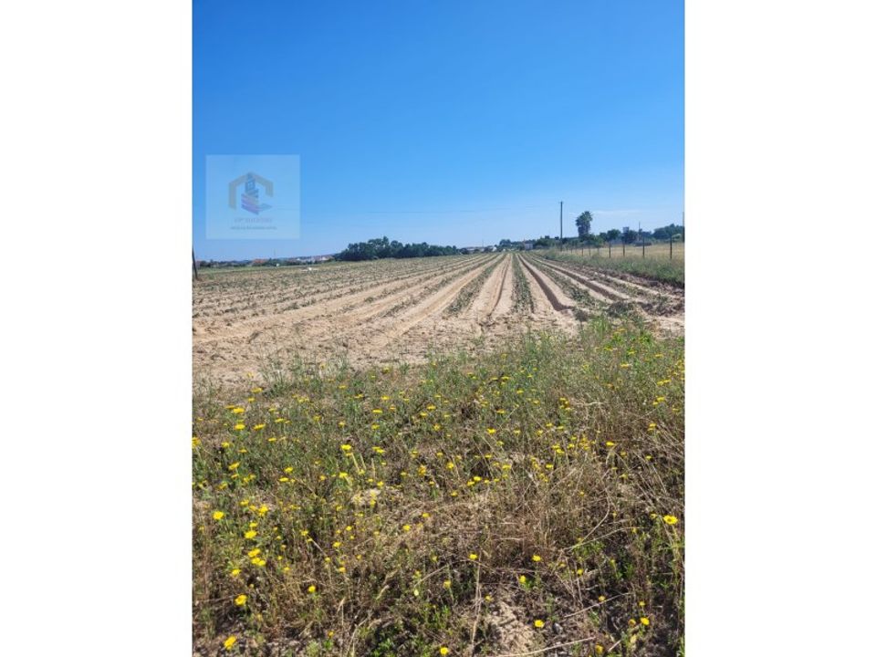 Helårsgrund i Alpiarca, Santarem - foto 1