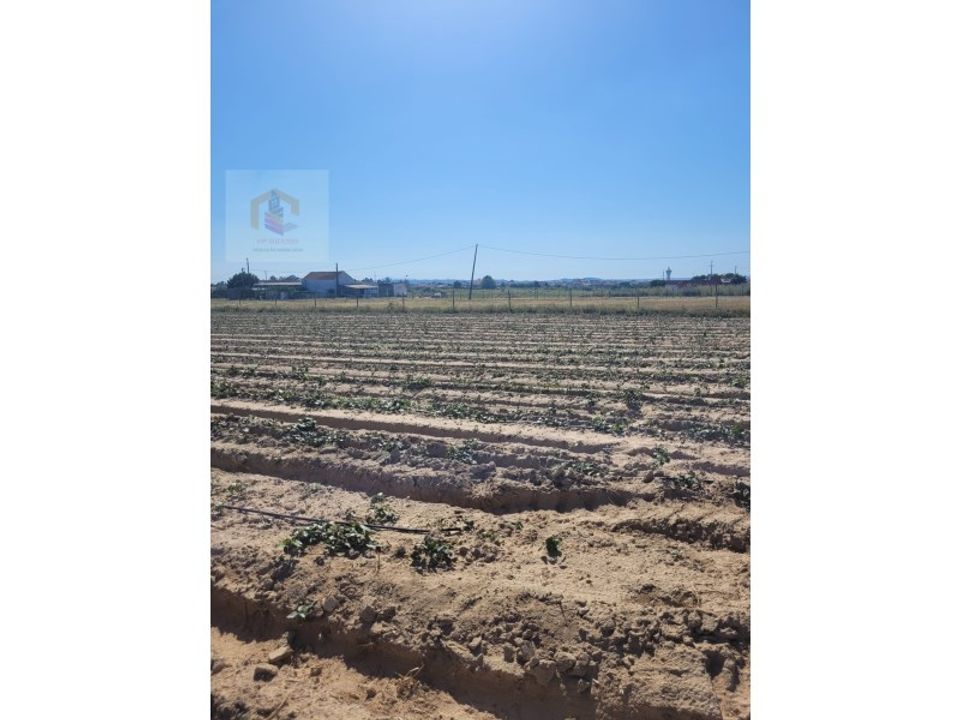 Helårsgrund i Alpiarca, Santarem - foto 2