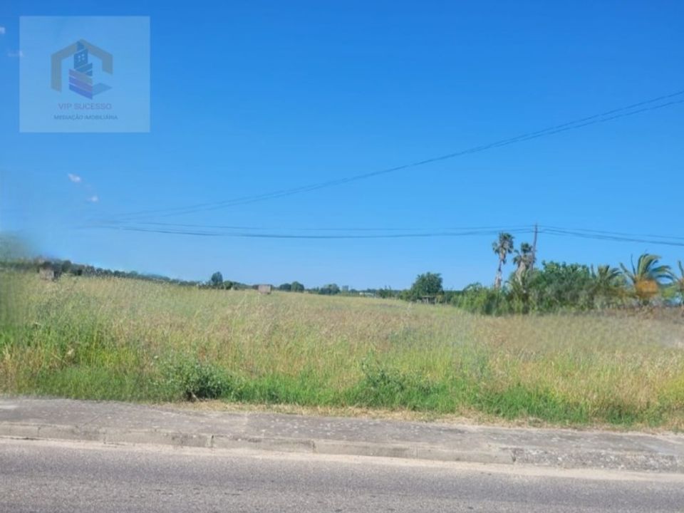 Helårsgrund i Alpiarca, Santarem - foto 2