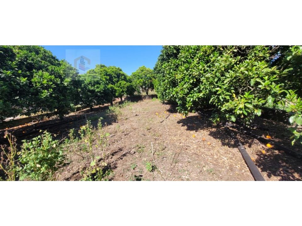 Helårsgrund i Alpiarca, Santarem - foto 1