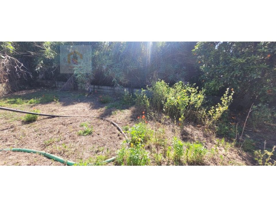 Helårsgrund i Alpiarca, Santarem - foto 2