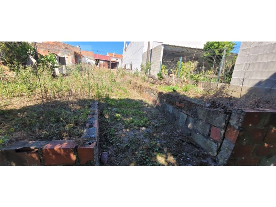 Helårsgrund i Alpiarca, Santarem - foto 3