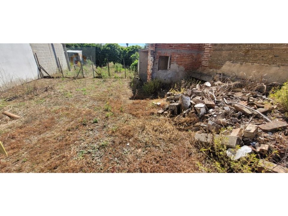 Helårsgrund i Alpiarca, Santarem - foto 5