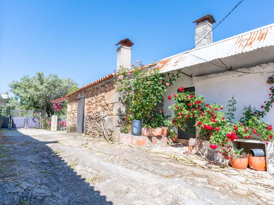 Farm i Vale de Prazeres e Mata da Rainha, Castelo Branco - foto 1