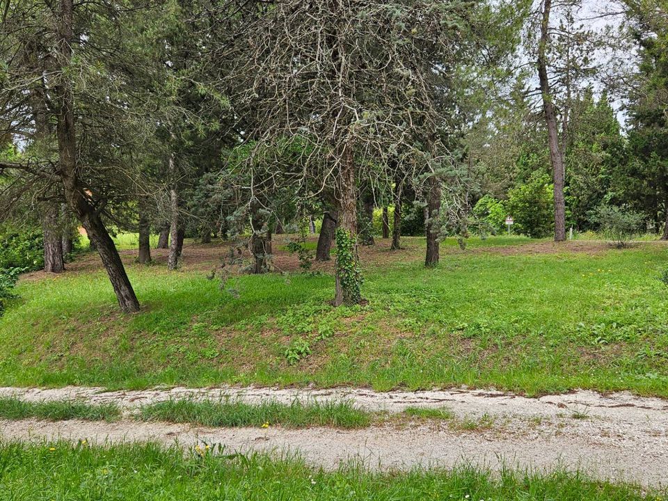 Maison de campagne - Cartoceto, Pesaro and Urbino - photo 1